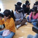 담주초등학교 이미지