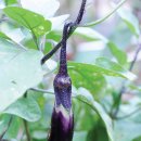 학이유치원 이미지