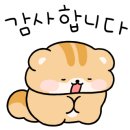프루티크로플 네이버블로그