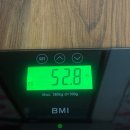 연곡약국 | 주간 박루시 | 113. back to Reality