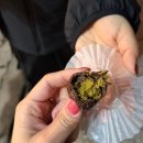 6478 | 광주 두바이쫀득쿠키 맛집 비교 내돈내산 후기 2탄- 아늑한/ 인세인쿠키/ 카페다온/ 멜크/ 노마딕커피