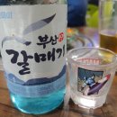 자갈치해물포차 | [부산 자갈치역횟집] 자갈치해물포차, 해물모듬 맛있음(부산갈매기소주)