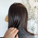 더케이약품 | 셀프 브러싱, 헤어클리닉 신제품 지노보 런칭 행사 후기