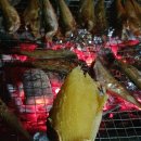 구미오토 | 구미시낙동강캠핑장 오토캠핑 후기 | 요금·사이트 구성·연장정보 정리
