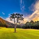 로제비앙GC 이미지