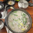 최루백로 이미지