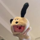 개새푸드 | 1월을 잃어버렷다는게 너무 믿기지가 않아서(1월 이분의 이)