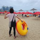 회남상회 | 부산 광안리 여행 2일차 카페에쏘 홍게데이 밀락더마켓황남쫀드기 민락회센터 함안상회 웨이브263