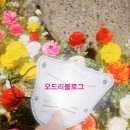 새숨디자인 | 하루 종일 써도 귀 안 아픈 마스크? KF94 다나마스크 에어숨 컬러 새부리형 솔직 후기