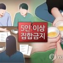 국내 코로나19 확진자 및 사망자 발생현황, 중대본 사회적 거리두기 강화 이미지