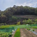 합성동264 이미지