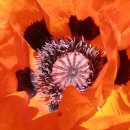 양주시 청소년상담복지센터 상담실 | 수원시청소년상담복지센터 팔달청소년상담실 처음 상담 공간 방문기