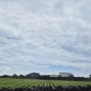 808 민박 | 우도 808민박 _ 하고수동해수욕장 바로 앞 가성비 숙소