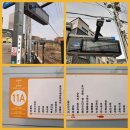 <보구곶리 매화향기 퍼지고>展 이미지