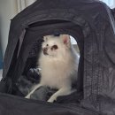 (주)이마트 수색점 | [2026-2] 3월 첫째주(03.02.~03.08.)