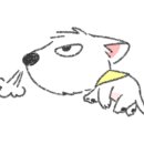 디스크독 연구소 이미지