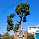 용헌태양광발전소 | [경기 옛길] 봉화길 8길 자채방앗길/ 한국기독교 역사박물관/ 무우정/ 성호호수 연꽃단지/ 설성면 행정...