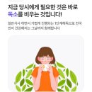 미리안나비