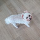 해림동물병원 이미지