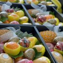 끌레베르 경희대직영본점 | 수원과일바구니 전문점 화월청과에서 할머니 선물 주문한 후기