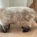 비슬동물병원 이미지