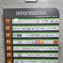 파충류샵폴리네시아게코 | [양주 말랑젤리] 양주 파충류샵 & 옥정 도마뱀 분양 성지!
