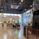 부산고양이미용&호텔 냥스타그램 이미지