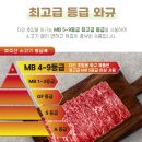 다인이벤트