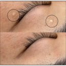 오르살롱 네이버블로그