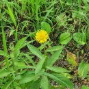 달의 정원 이미지