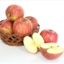 창수농장 이미지