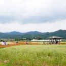 호수담다 이미지