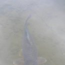 고기연구소 이미지