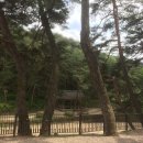 순흥우체국 이미지