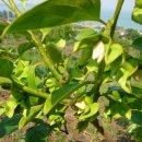 마동농장 이미지