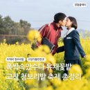 장현농원 | 고창 청보리밭 축제 폭싹 속았수다 촬영지 기본정보 주차장 꿀팁 강아지 총정리