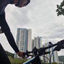 백현마을롯데캐슬사거리 이미지