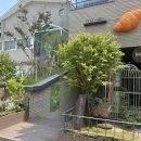 카페868 | 성남 분위기 좋은 베이커리 카페 오야밸리 내돈내산 솔직 후기