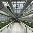 주식회사 팜코리아 이미지