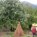 황부자 며느리 친정가는 둘레길 이미지