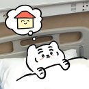 긴자료코 하남점 | [24/8/6~24/10/10] 작년 여름으로 돌아가보아요