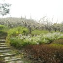 서울꽃백화점