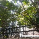 지동공인중개사사무소 이미지