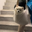이태원 해방촌 조용한 술집 느좋 신상 와인바 티와이엠엠(tymm)