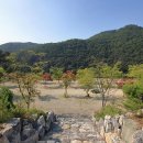 유토피아 오토캠핑장 이미지