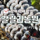 가평 모이스 독채 풀빌라 펜션 네이버블로그
