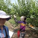 해오름농장 2 이미지