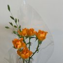 프롬피오니