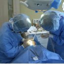 캘리포니아미형 이미지