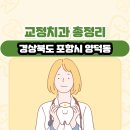 양덕동001 이미지